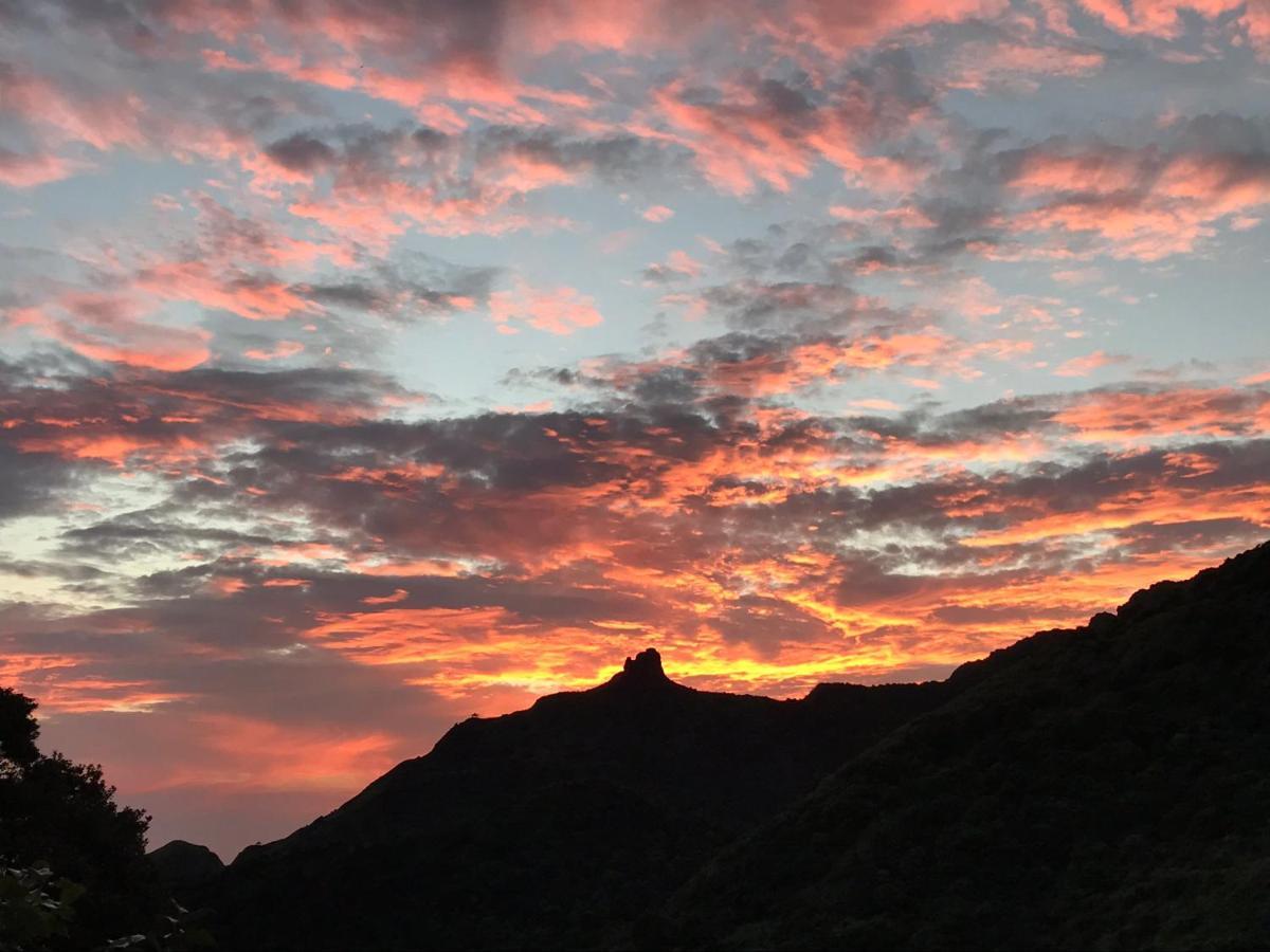 Jiufen Wangqin Sea View Homestay エクステリア 写真