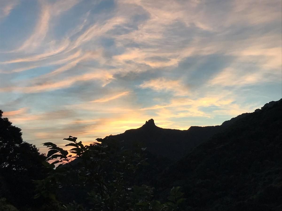 Jiufen Wangqin Sea View Homestay エクステリア 写真